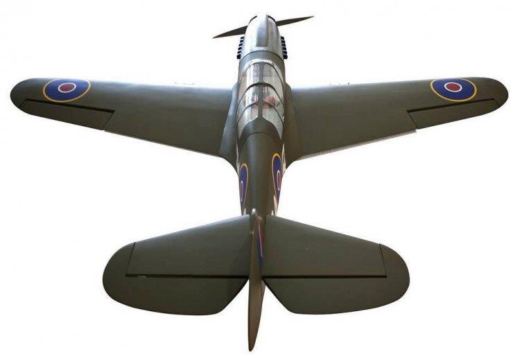 Seagul P-40N Warhawk Shark 38-61cc Gas med el landställ - 7