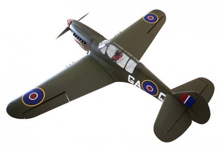 Seagul P-40N Warhawk Shark 38-61cc Gas med el landställ - 6