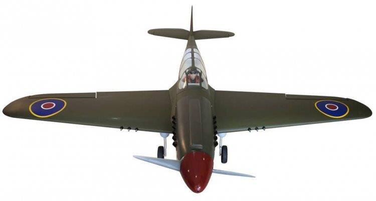 Seagul P-40N Warhawk Shark 38-61cc Gas med el landställ - 3