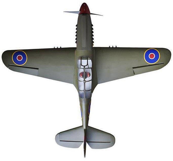 Seagul P-40N Warhawk Shark 38-61cc Gas med el landställ - 5