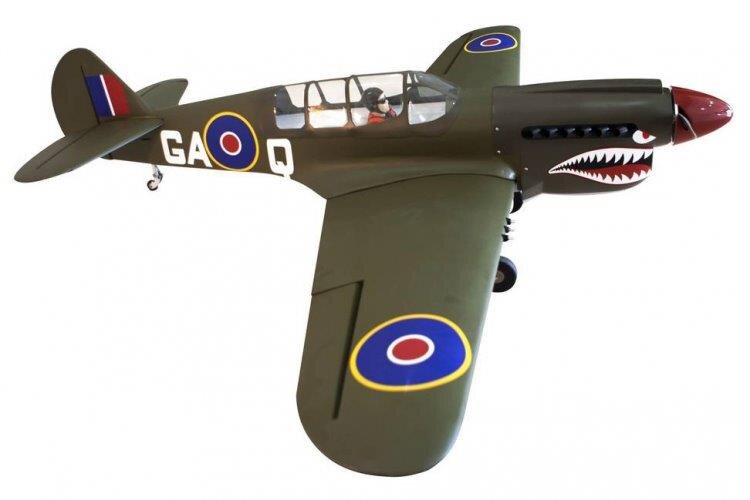 Seagul P-40N Warhawk Shark 38-61cc Gas med el landställ - 4