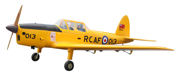 Seagull DHC-1 Chipmunk 20cc Gas ARF sp:180cm - 2