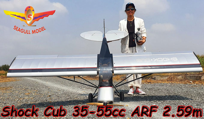 Seagul Shock Cub 35-55cc ARF 2.59m Silver/Svart - 11