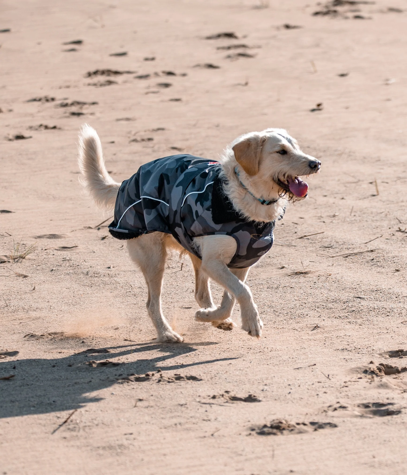 dryrobe® Dog - Black Camo / Black - 7