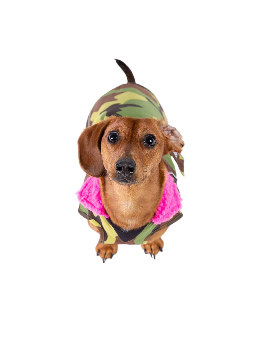 dryrobe® Dog - Camo / Pink - 5