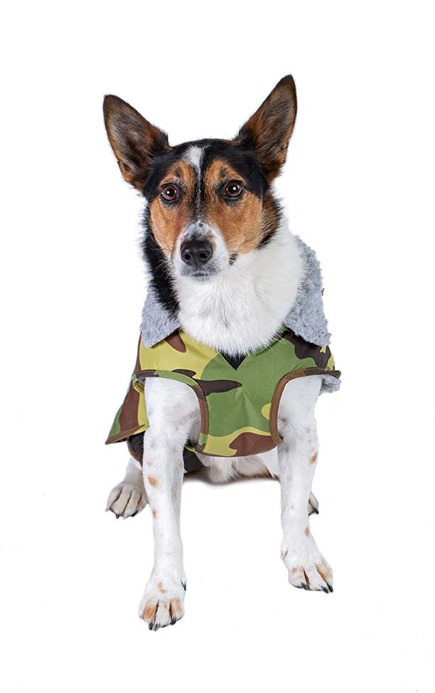 dryrobe® Dog - Camo / Grey - 7