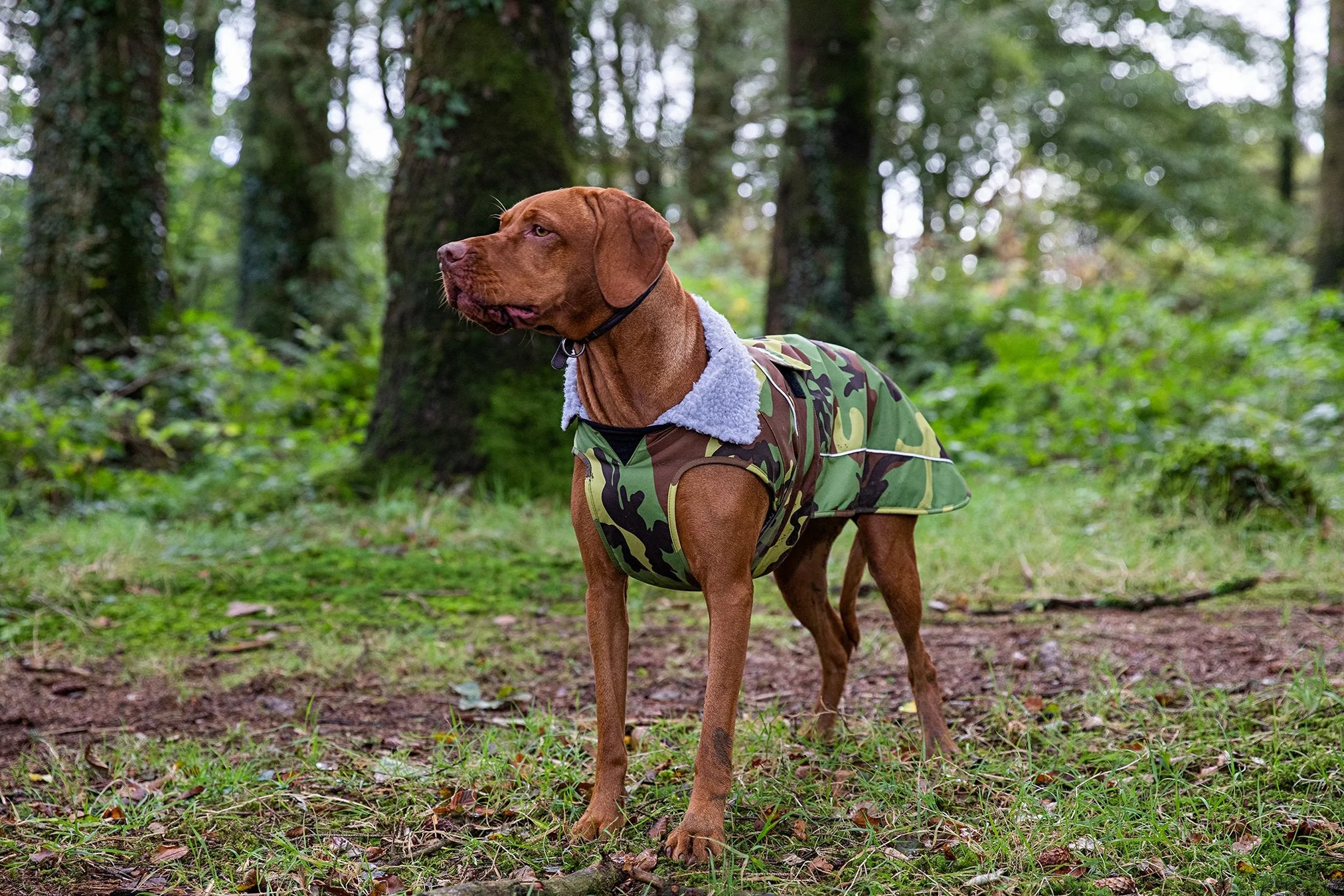 dryrobe® Dog - Camo / Grey - 13