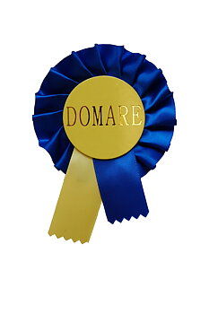 Rosett med nål, 1 krans, 2 korta band, BLÅ/GUL, DOMARE