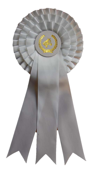 Hästrosett 3 kok, 3 bredare band - VIT, 31 cm