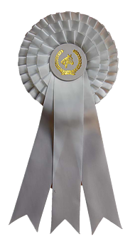 Hästrosett 3 kok, 3 bredare band - VIT, 31 cm