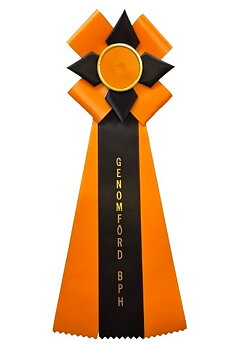 Hundrosett GENOMFÖRD BPH, kronblad, stjärna - orange/svart