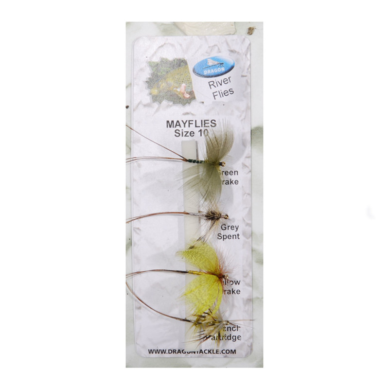 Drache Europack Eintagsfliegen