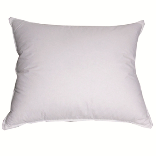 INNER CUSHION 50X60CM