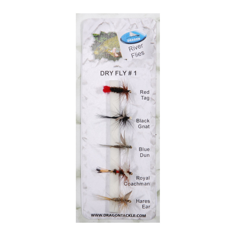 Drache Europack Trockenfliege 1