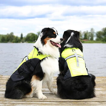 Life Jackets Pets