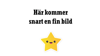 Sprayfärg grön volvomotor