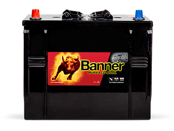 Banner Buffalo Bull 12v 125Ah