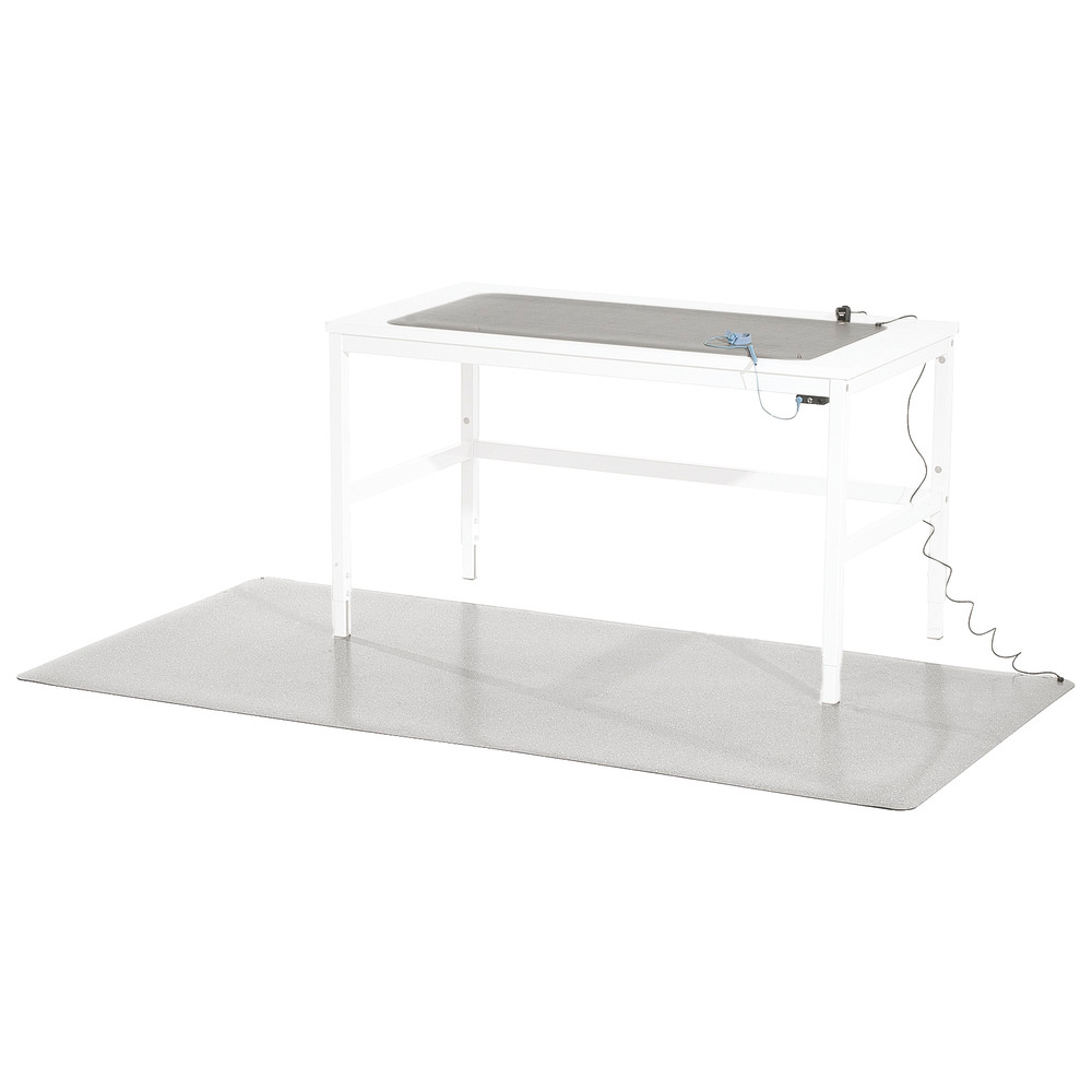 Arbetsplatsset, ESD