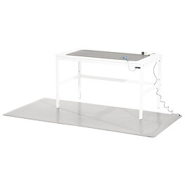 Arbetsplatsset, ESD