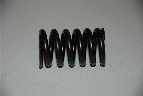 Valve spring