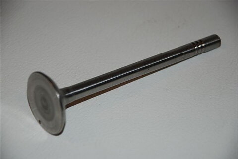 Valve intake