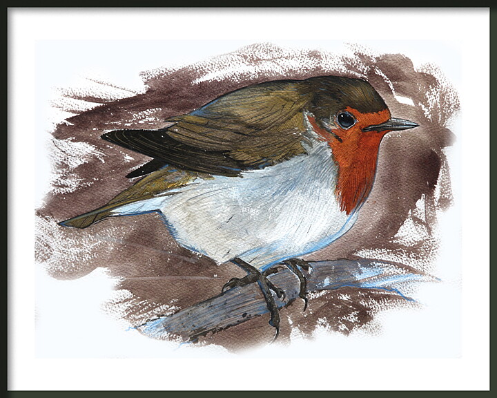 Kristusfågeln Rödhake 1 UKs nationalfågel Robin 50x40 cm