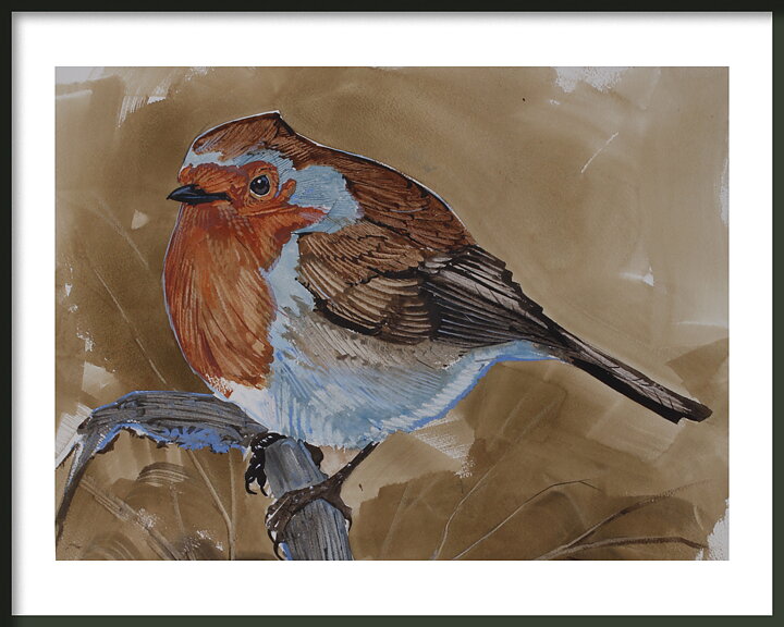 Kristusfågeln Rödhake 3 UKs nationalfågel Robin 50x40 cm