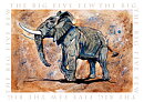 Elefant