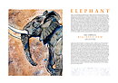 Elefant