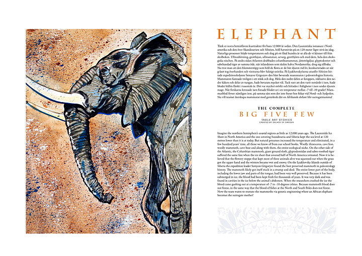 Elefant