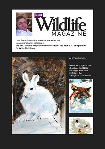 BBC World Wildlife Artist 2013