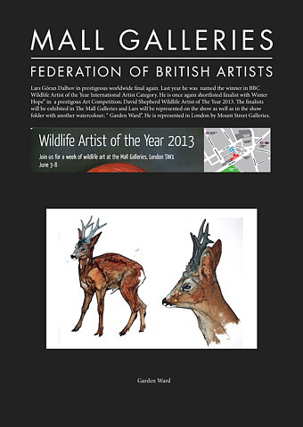 David Shepherd 2013 Award