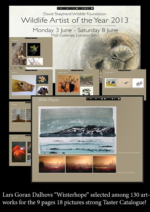 Taster Catalogue Wildlife Artist 2013