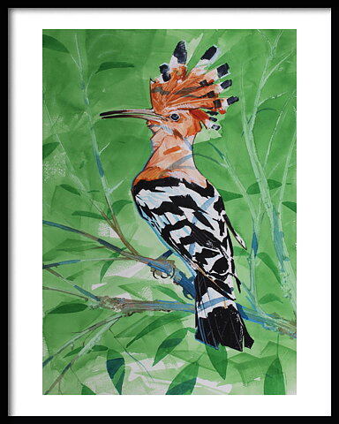 Härfågel Hoopoe Huppe Fascièe Weidehopf 40x50