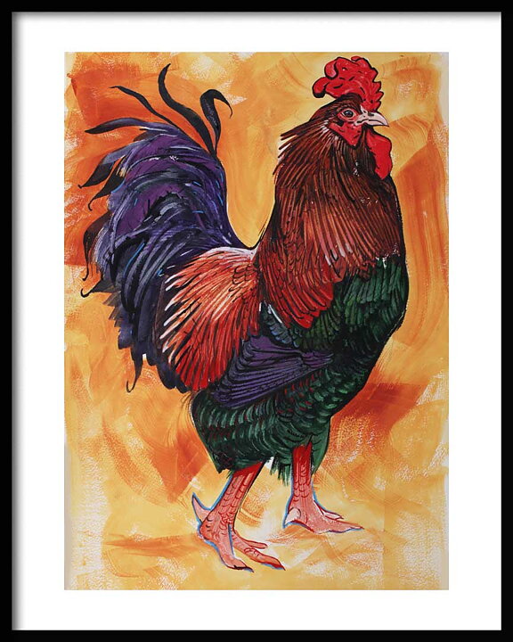 Gay Tupp Pride Rooster 40x50