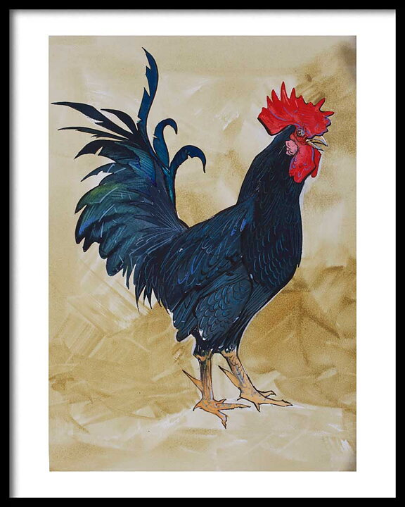 Olskrokstupp Gothenburg Rooster 2 40x50