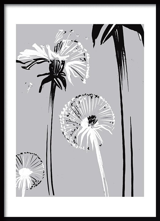Dandelion One