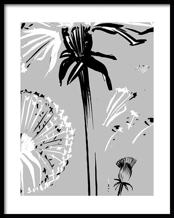 Dandelion Two