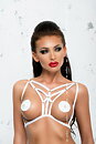 HARNESS 1
