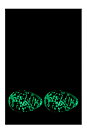 FIREFLY GLASÄGG