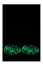 FIREFLY GLASÄGG