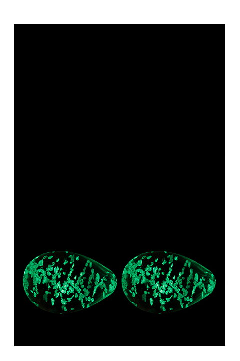 FIREFLY GLASÄGG