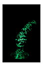FIREFLY PROSTATAPLUGG