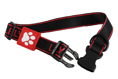 Hundhalsband