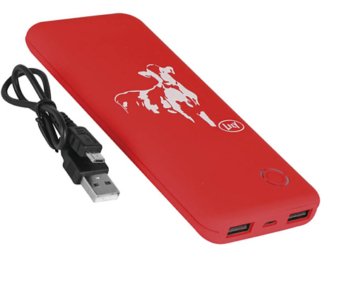 Powerbank 8000mAh