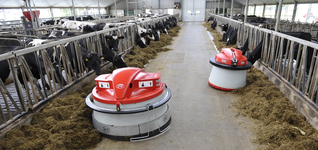 Lely Juno