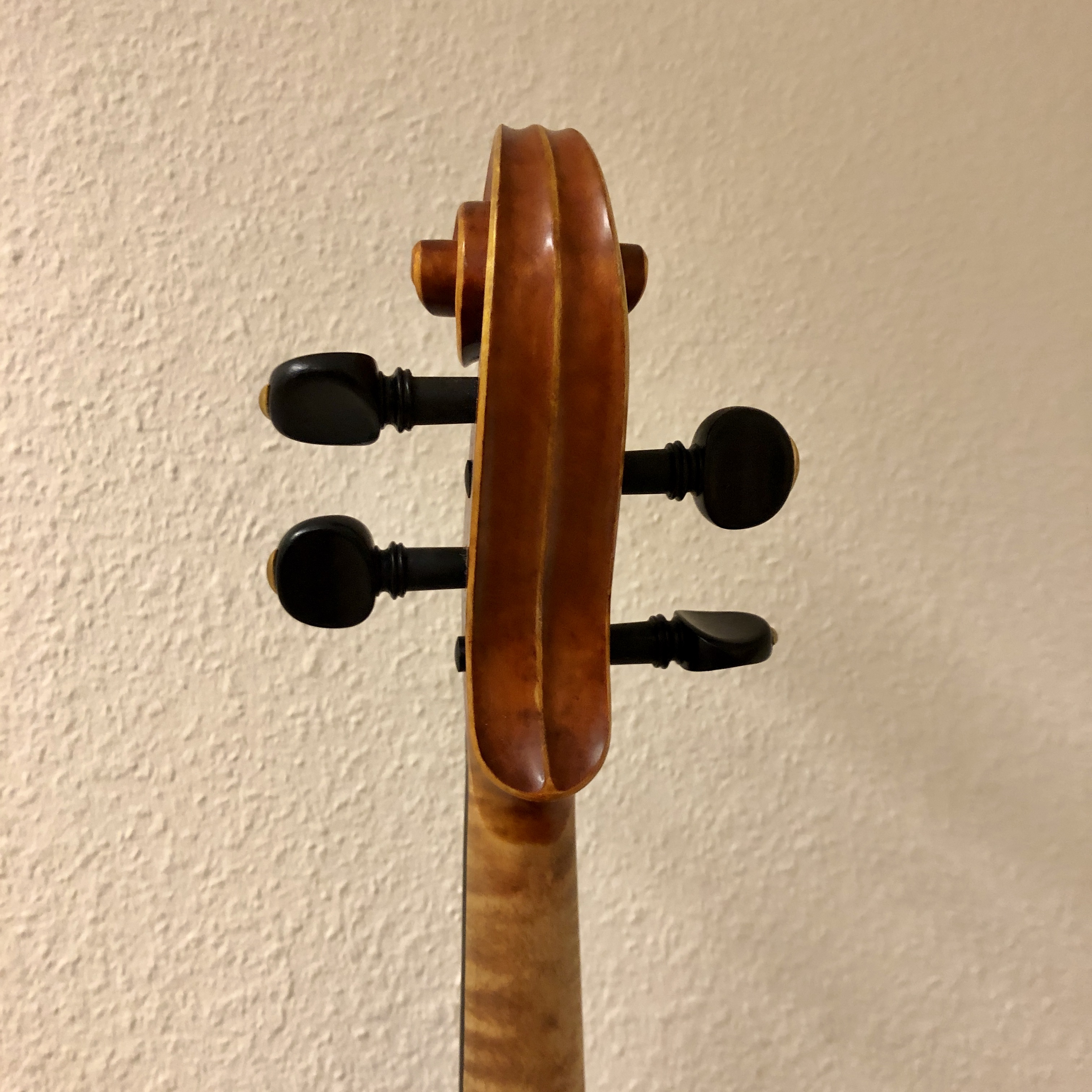 39,5 violaset, Alois Sandner - 3