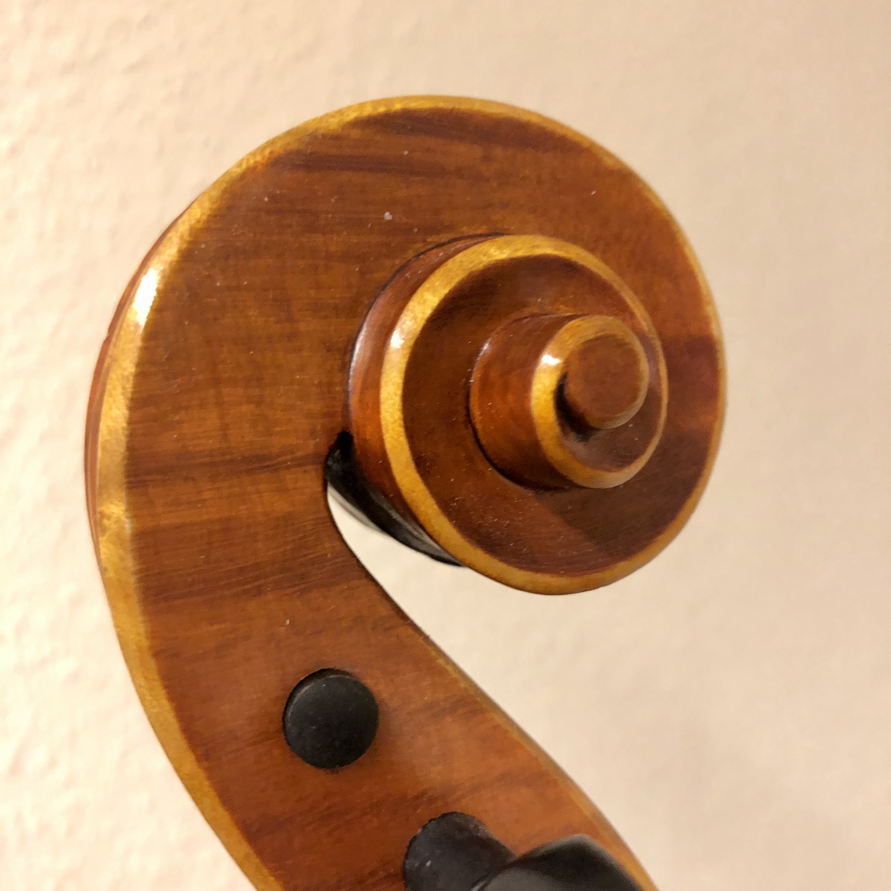 39,5 violaset, Alois Sandner - 7