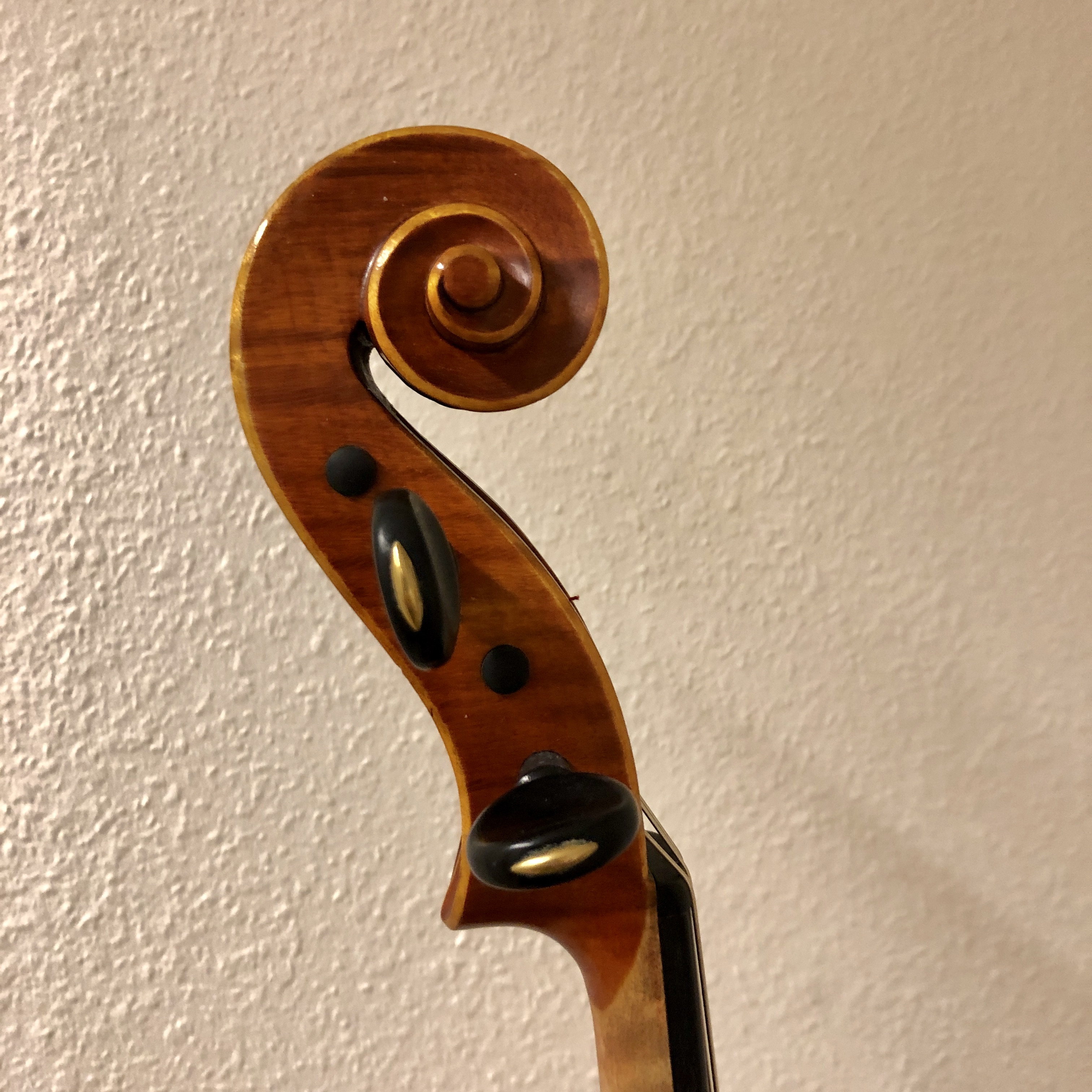 39,5 violaset, Alois Sandner - 6