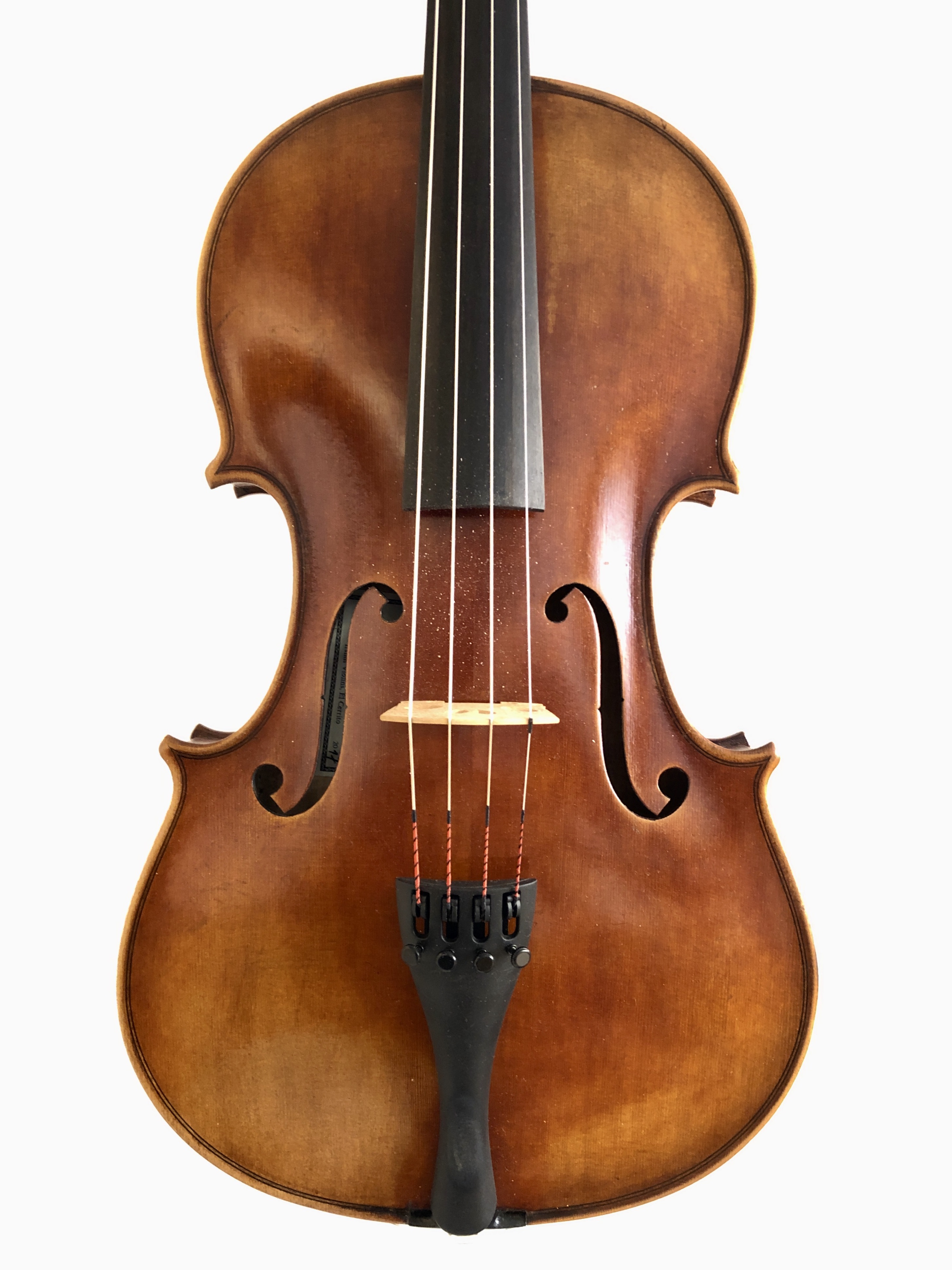 40,3 cm viola, Jay Haide